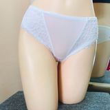  Quần lót thun lạnh phối ren LS0705 