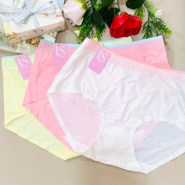 Quần lót su sắc màu