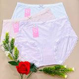  Quần lót thun lưng cao 