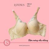  Áo Ngực Bigsize Ren Đệm Mỏng Có Gọng B619 