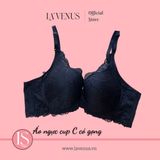  Áo Ngực Bigsize Ren Đệm Mỏng Có Gọng B619 