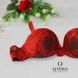  Áo ngực ren hoa hồng LS027 