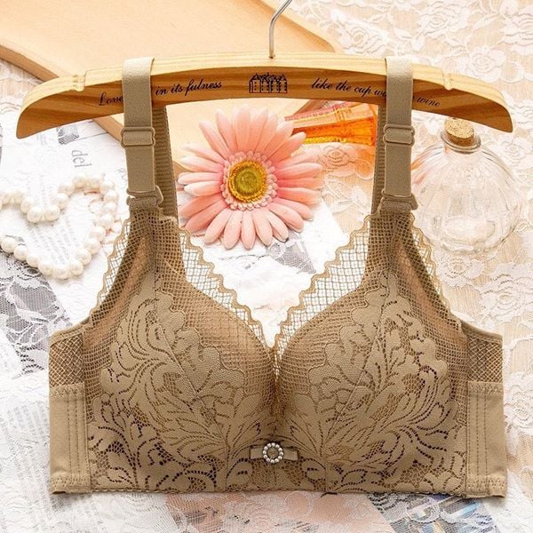  Áo Ngực Ren Đệm Vừa Không Gọng 319 