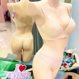  Áo Ngực Su Gọng 3D Đệm Dày 865 