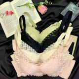  Áo Ngực Ren Không Gọng Siêu Nâng Đẩy 330 