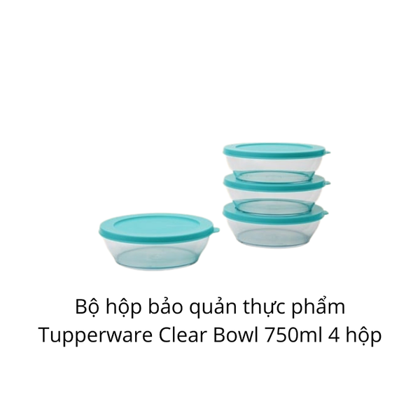 Bộ Hộp BQTP Clear Bowl 750ml (4)