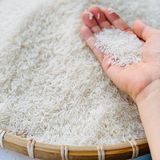  Gạo ST25+ - 5kg 