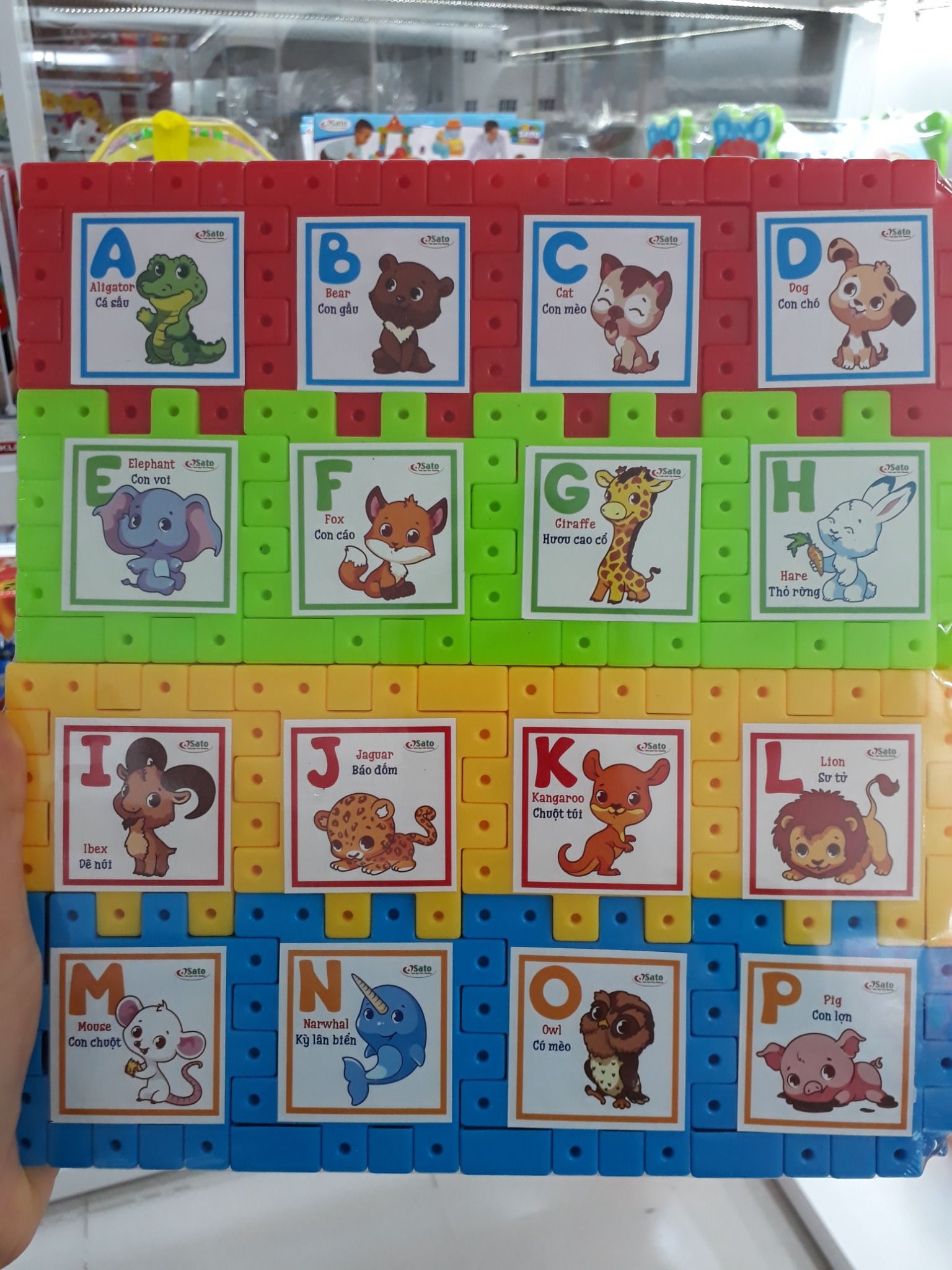  Khám phá vườn thú 