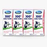  Sữa tiệt trùng vinamilk dâu , socola 180ml 