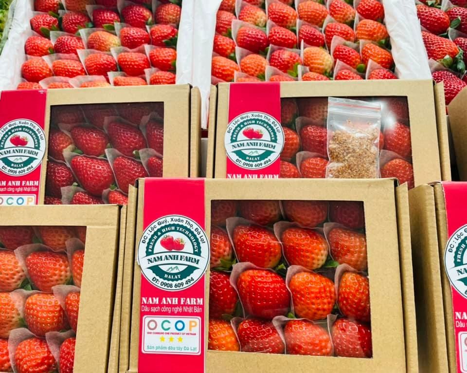 Dâu Tây Đà Lạt Hộp 250gr – sieuthidanavimart