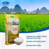  Gạo ST25+ - 5kg 