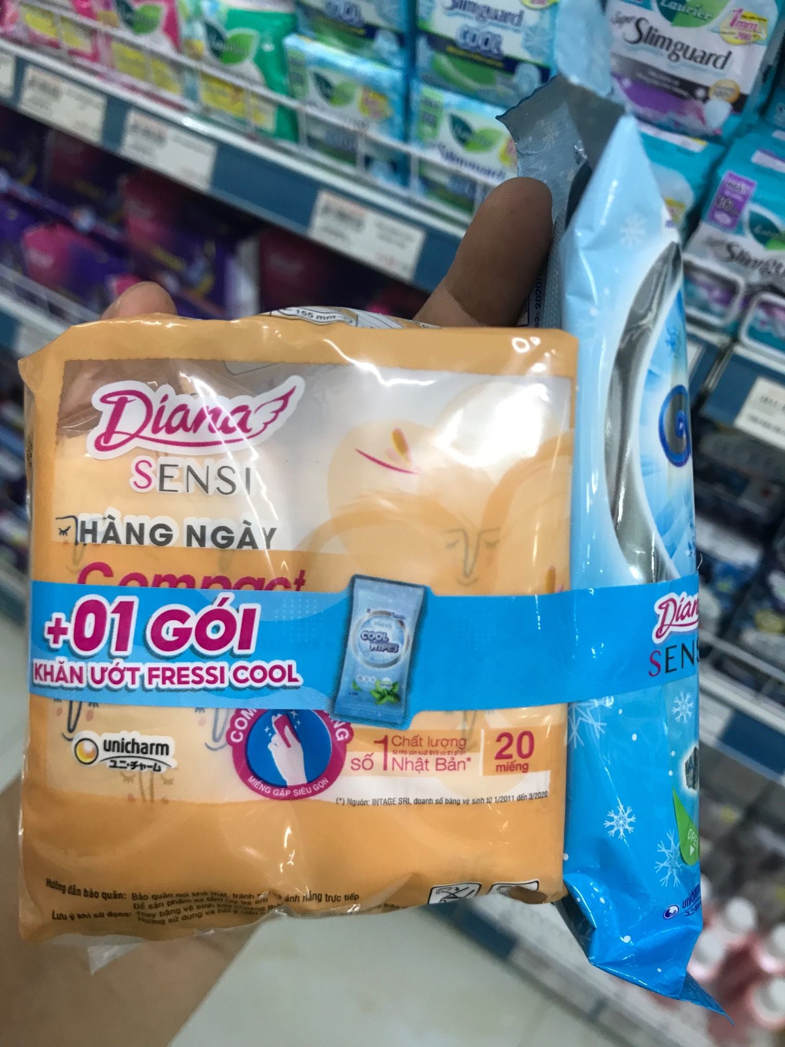  Bvs diana HN compact 20m 