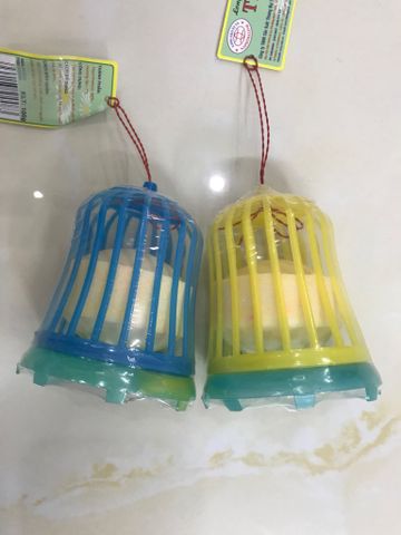  Long não lồng chim 