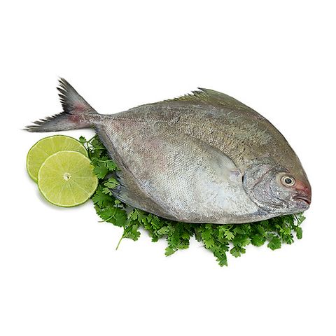  Cá Chim Làm sạch( mã 147) - theo kg 