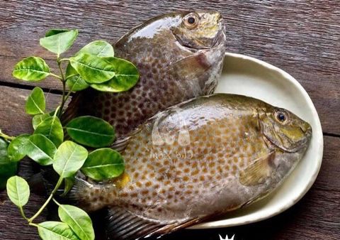  cá dìa làm sạch -  theo kg 