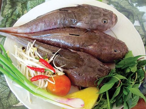  Cá mú làm sạch - theo kg 