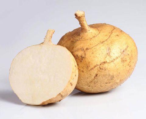  Củ Sắn Dây - Theo kg 