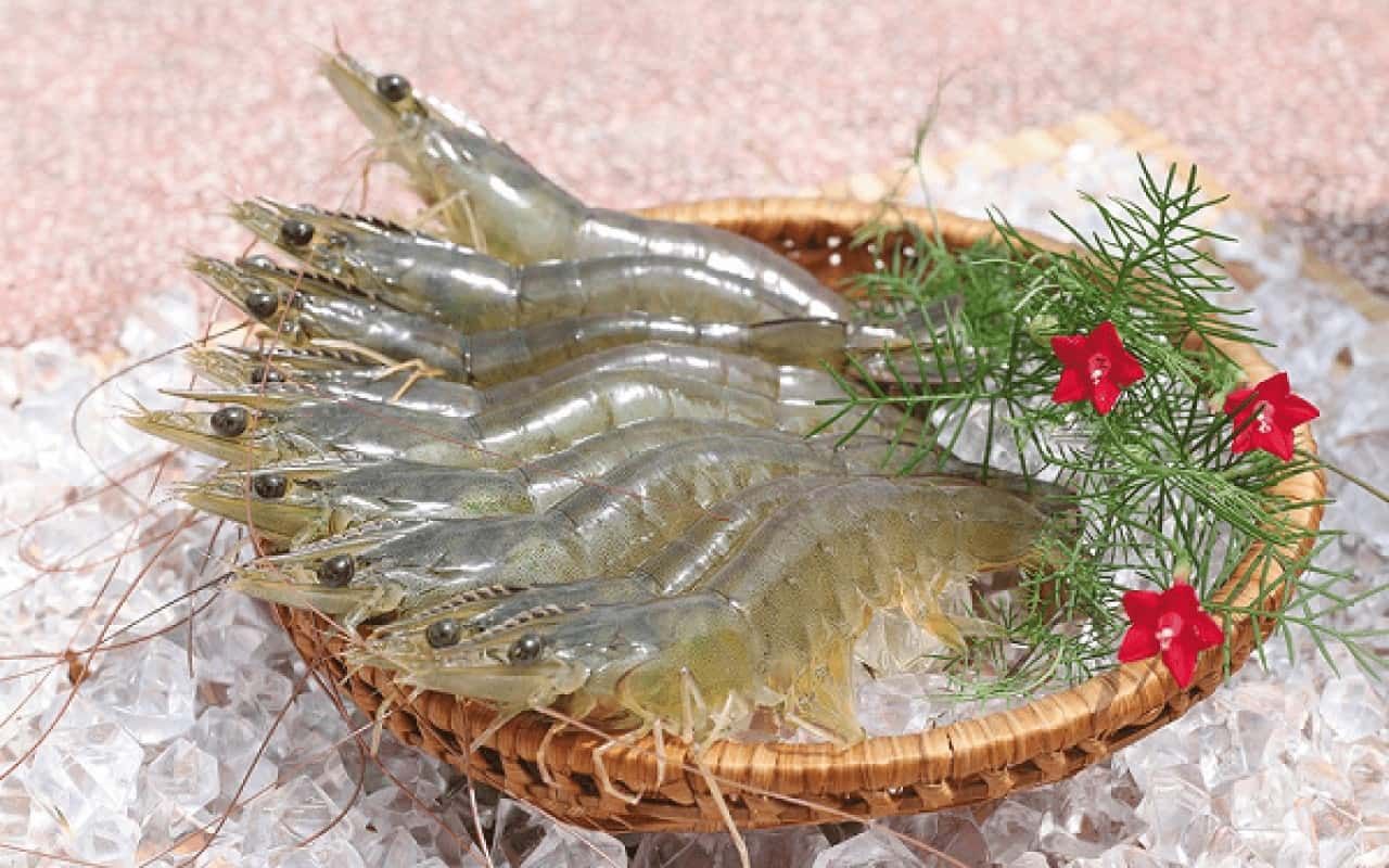  Tôm Thẻ - theo kg 