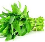  Rau Muống Trà Quế 