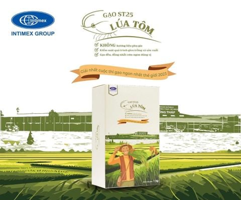  Gạo ST25 Lúa Tôm 1kg - ITM 