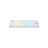  Bàn phím Gaming Razer DeathStalker V2 Pro Tenkeyless - White Edition - Linear Red Switch 