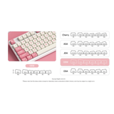  Bộ Keycap AKKO Dim Sum Bear (PBT Dye-subbed / OEM profile / 122 nút) 