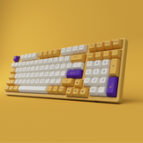  Bàn phím AKKO có dây 3098 Los Angeles (Rainbow LED/ASA profile) 