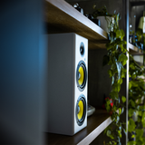  Loa Thonet & Vander HOCH 2.0 Bluetooth 