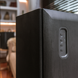  Loa Thonet & Vander KUGEL Bluetooth 
