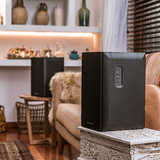  Loa Thonet & Vander KUGEL Bluetooth 
