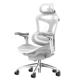  Ghế công thái học Sihoo C300 (A3C) 