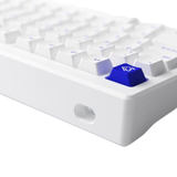  Bàn phím AKKO MOD007 PC Blue on White (Hotswap/ Gasket Mount/ Clacky/ Mạch Xuôi) 