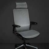  Ghế công thái học HyperWork Sleek - OC01 