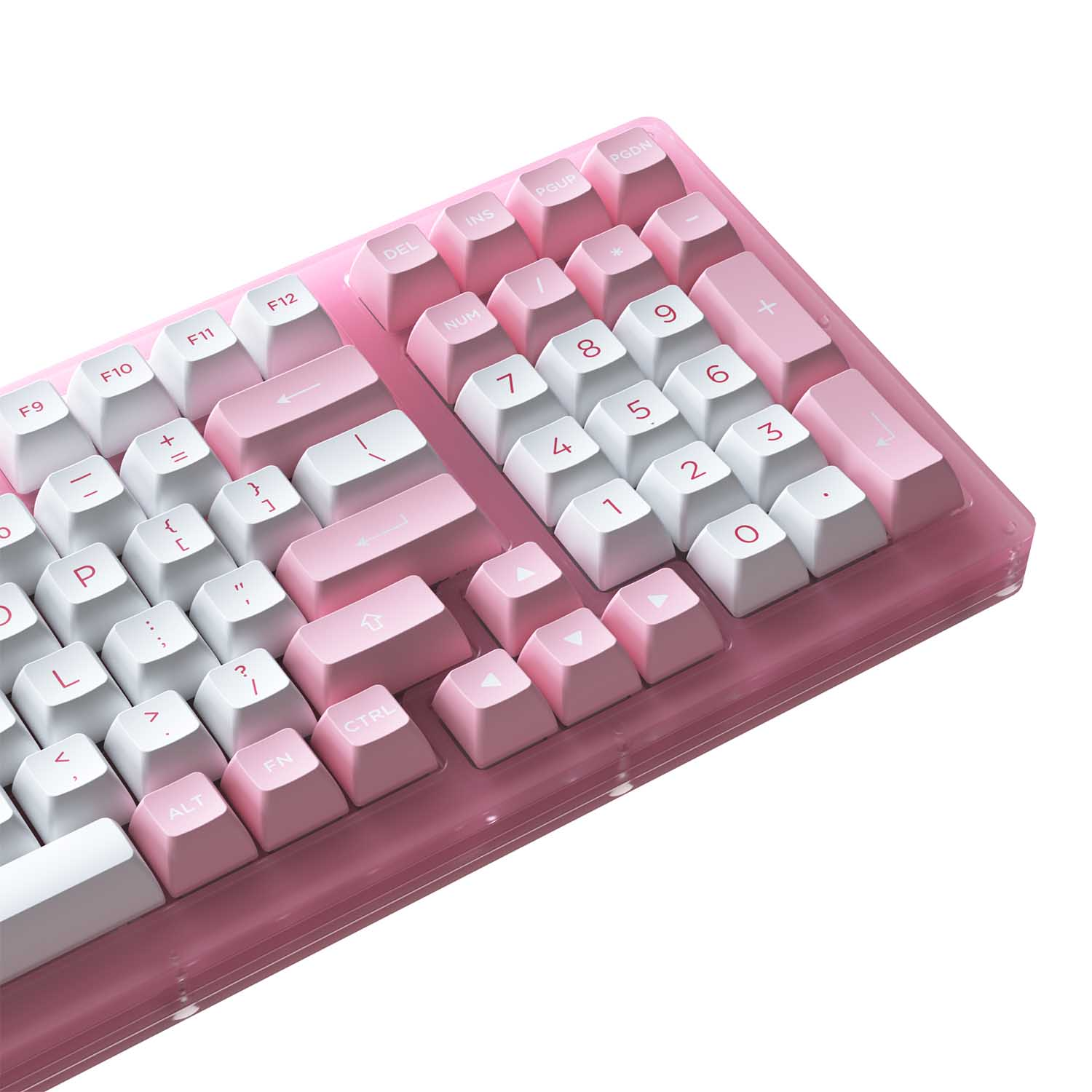  Bàn phím cơ AKKO ACR98 Pink (Hotswap / RGB / AKKO CS sw Jelly Pink) 