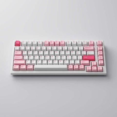  Bàn phím cơ MonsGeek MG75 Prunus Lannesiana (White LED / AKKO cs switch / PBT Double-Shot) 