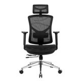  Ghế Công Thái Học Manson Vera (Lưới Wintex / Lưng nâng hạ /Tay 3D) 