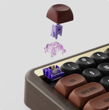  Bàn phím AKKO MU01 Autumn (Hotswap,RGB / Multi-Modes/ Akko X TTC Demon Switch) 