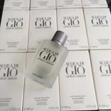  Acqua Di Giò Armani Pour Homme 100ml 