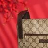 Túi đeo Gucci GG Canvas Size 24 - TTA3785