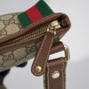 Túi đeo Gucci Classic GG Signature Monogram size 24
