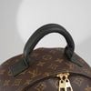 Balo Louis Vuitton Palm Spring Monogram Ebene Size MM/34