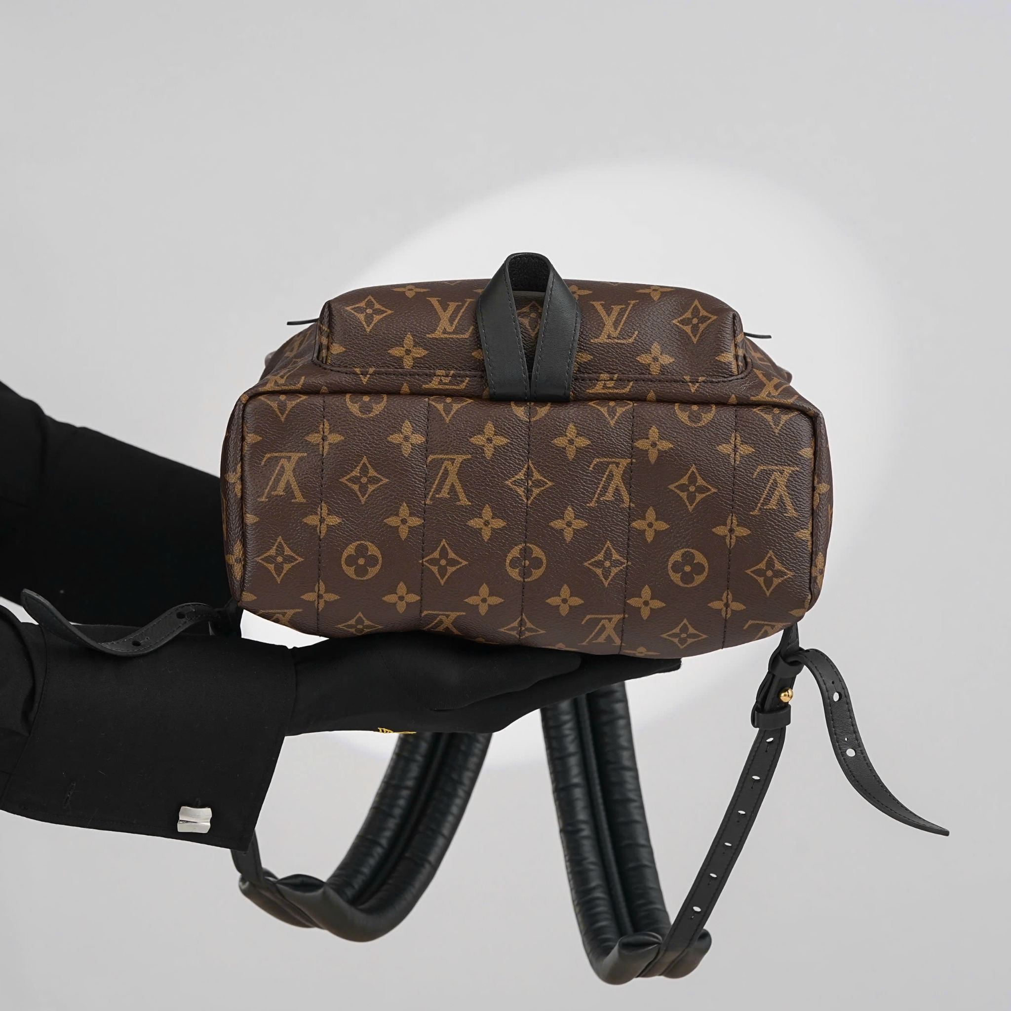 Balo Louis Vuitton Palm Spring Monogram Ebene Size MM/34 – Tony Tú