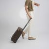 Vali Louis Vuitton Pegase Legere Monogram Size 55