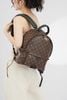 Balo Louis Vuitton Palm Spring Monogram Ebene Size MM/34