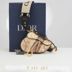 Túi đeo Christian Dior Python Saddle with Strap