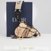 Túi đeo Christian Dior Python Saddle with Strap
