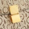 Túi Céline Python Classic Box (Đen/Be)