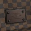 Túi đeo Louis Vuitton Messenger Brooklyn MM Damier Ebene