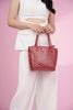 Túi Goyard Red Goyardine Anjou Mini size 20