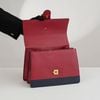 Túi Gucci Dionysus Bamboo Web